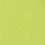Bazzill Cardstock - Green Tea 21,6 x 28,0 cm